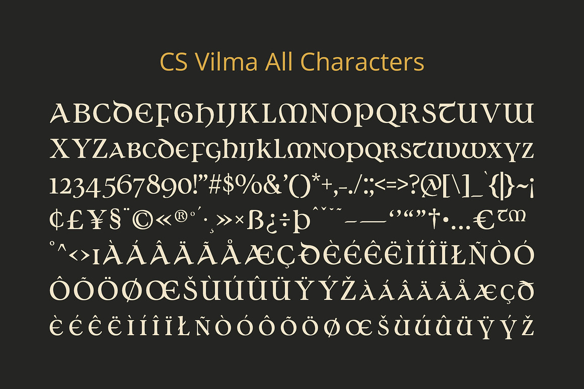 优雅品牌海报邀请函设计衬线英文字体安装包 Vilma – Uncial Font , 第8张