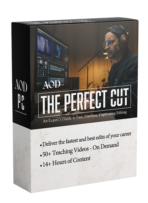 好莱坞电影大片编辑剪辑视频教程 中英文字幕 AOD – Art of Documentary – The Perfect Cut , 第3张