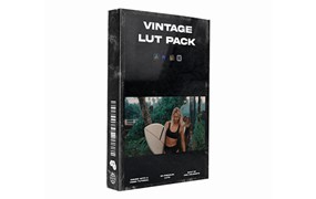 VINCENT COLORFILM VINTAGE - LUT Pack 复古电影美学胶片模拟SLOG/VLOG色彩分级视频短片LUT调色预设