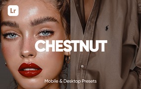 6款现代时尚暖色调人像摄影大片后期LR照片调色luts预设套装6 CHESTNUT LIGHTROOM PRESETS