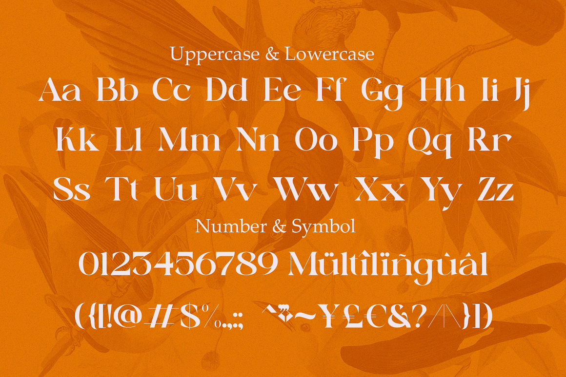 复古波西米亚风杂志海报徽标设计衬线英文字体安装包 Sunny Paradise – Decorative Serif Typeface , 第9张