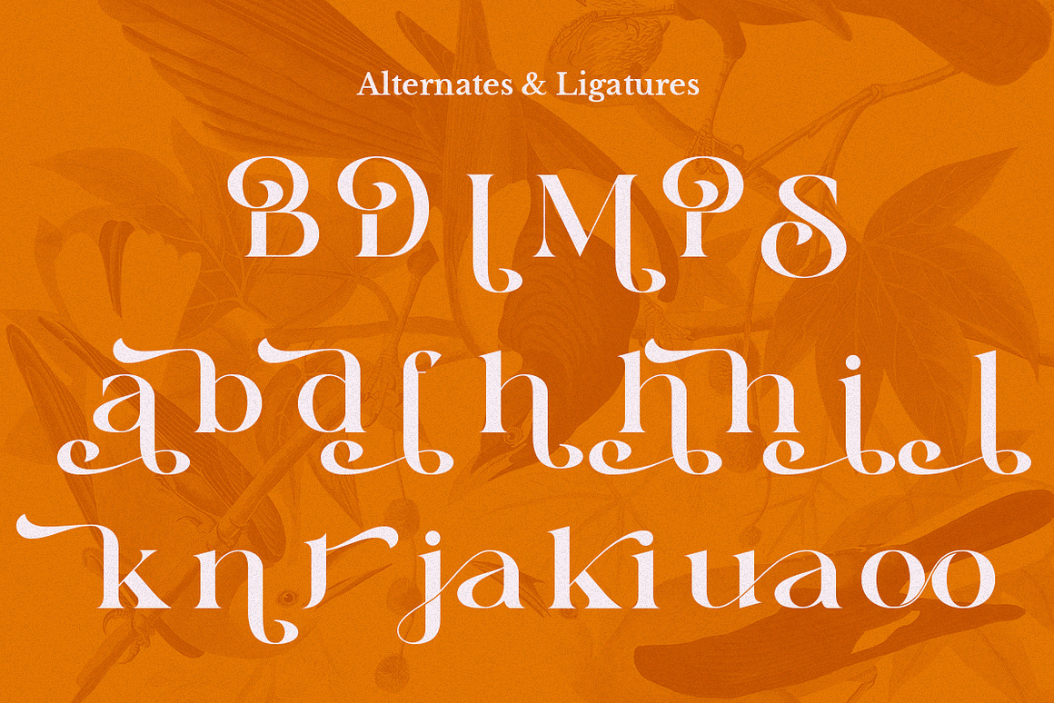 复古波西米亚风杂志海报徽标设计衬线英文字体安装包 Sunny Paradise – Decorative Serif Typeface , 第10张