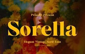 时尚优雅品牌包装婚礼徽标设计衬线英文字体安装包 Sorella – Bold serif font