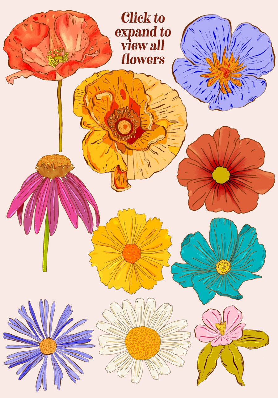 Retro Wildflowers - Bold Flowers 复古INS花卉插图和无缝图案 包装印刷 纺织印刷 海报设计 图片素材 第6张