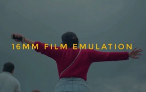 16MM FILM EMULATION 达芬奇 PowerGrade 柯达胶片模拟