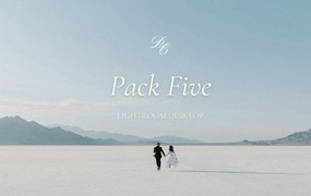 情绪朦胧微妙电影感人像婚礼摄影LR调色预设 DC Presets: Pack Five