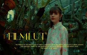 FILM LUT 复古电影美学胶片模拟S-Log3色彩分级视频短片LUT调色预设