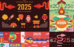 12款卡通创意2025中国春节蛇年挂历海报设计EPS矢量模板素材 Cartoon 2025 Chinese New Year Snake Year Poster Template