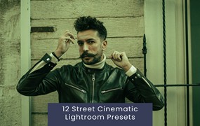 12组复古赛博朋克风街头电影婚礼博主摄影照片调色Lightroom预设 12 Street Cinematic Lightroom Presets