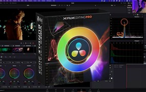 Film Editing Pro 达芬奇颜色分级调色课程 Color Grading 101 in DaVinci Resolve