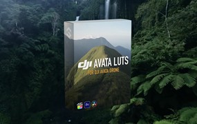 Film Space DJI Avata LUTs 大疆穿越无人机专业LUT热带雨林航拍镜头电影色彩等级