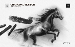 木炭笔粉笔素描纹理效果PS笔刷 Charcoal Sketch Photoshop Brushes