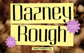 现代时尚品牌海报徽标设计无衬线英文字体安装包 Dazney Rough