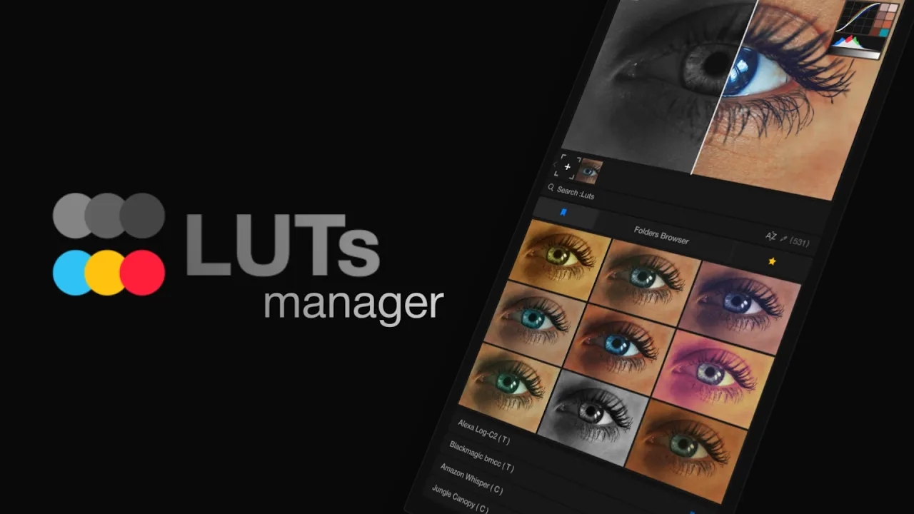 AE/PR插件：实时批量LUT管理和预览工具+500 LUTs Win/Mac Aescripts LUTs Manager Real-Time Bulk LUT Previewer and Organizer , 第1张