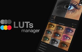 AE/PR插件：实时批量LUT管理和预览工具+500 LUTs Win/Mac Aescripts LUTs Manager Real-Time Bulk LUT Previewer and Organizer