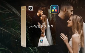 达芬奇预设：MotionVFX – mWedding DVR 简约梦幻优雅婚礼电影氛围视频叠加特效/婚礼时尚标题字幕动画排版/转场过渡预设插件