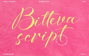 优雅复古杂志海报徽标设计手写英文字体安装包 Bitteva Script – Classy Script Font