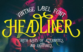 优雅复古品牌海报徽标设计衬线英文字体安装包 Headliner Vintage Decorative Font