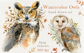 高品质猫头鹰手绘水彩画背景图片PNG/JPG格式设计素材Watercolor Owls set by Nastilustra