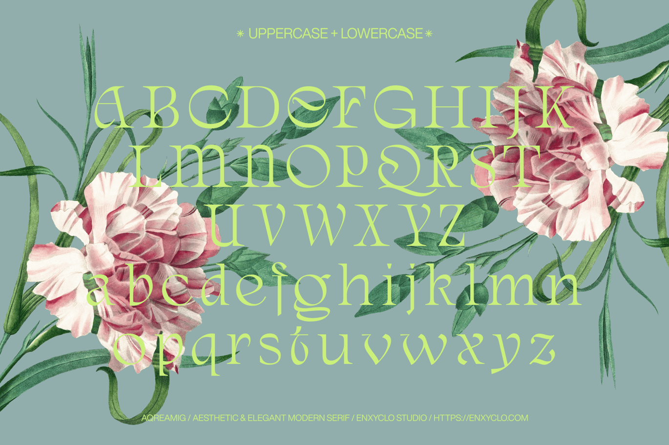 现代复古杂志海报网站徽标设计衬线英文字体安装包 Aqreamig – Modern Elegant Luxury Ligature Serif , 第5张