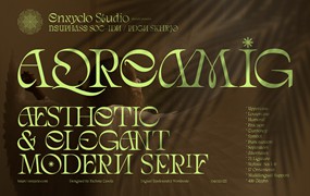 现代复古杂志海报网站徽标设计衬线英文字体安装包 Aqreamig – Modern Elegant Luxury Ligature Serif