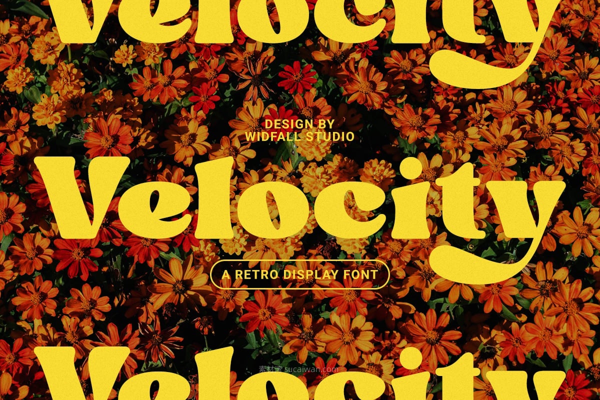 现代复古品牌海报徽标设计装饰英文字体安装包 Velocity – Dynamic Retro Display Font , 第10张