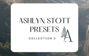 LR预设：全新纪实感情绪氛围婚礼人像摄影Lightroom调色预设 Ashlyn Stott Presets ~ Collection 2