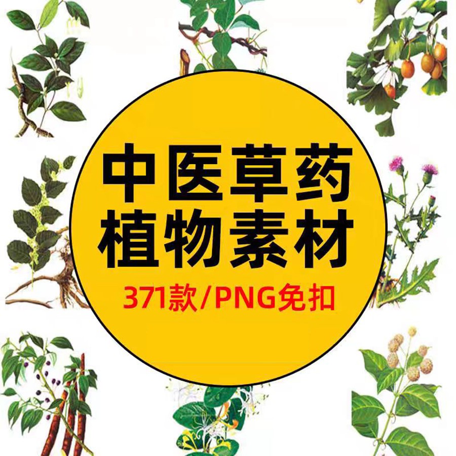 手绘中医草药草本植物插图背景PNG免抠图片 养生材图案PS素材 , 第1张