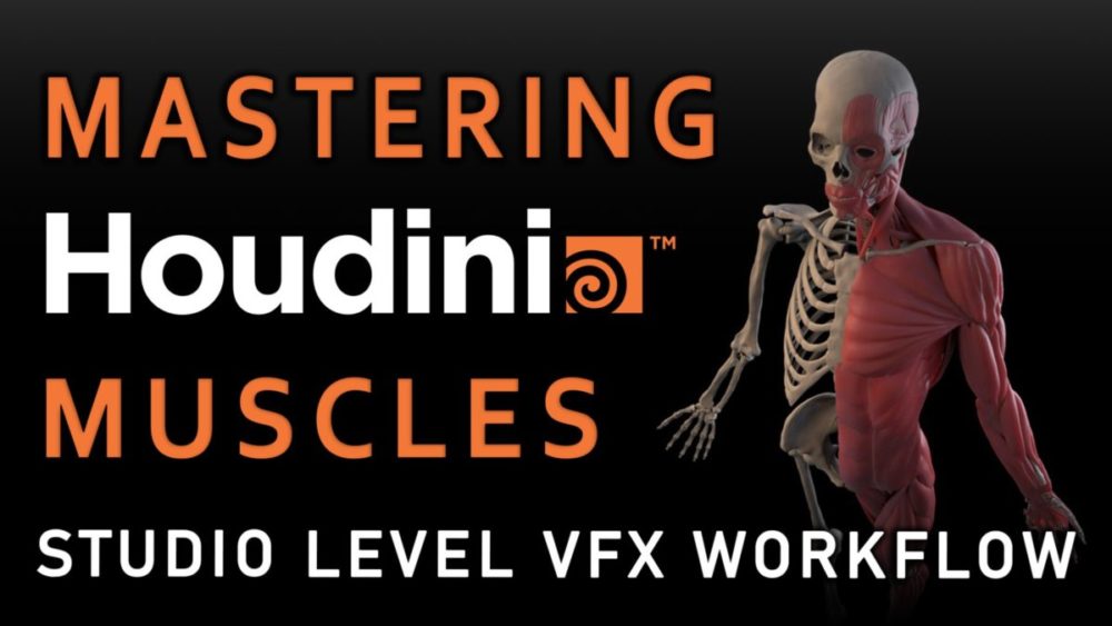 Houdini人体肌肉建模渲染全流程 视频教程 中英文字幕 Flippednormals – Mastering Houdini Muscles – Studio , 第1张