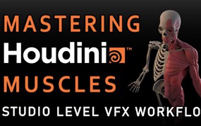 Houdini人体肌肉建模渲染全流程 视频教程 中英文字幕 Flippednormals – Mastering Houdini Muscles – Studio