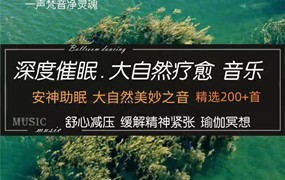 大自然流水鸟鸣安神助眠白噪音深度睡眠放松减压瑜伽音乐mp3