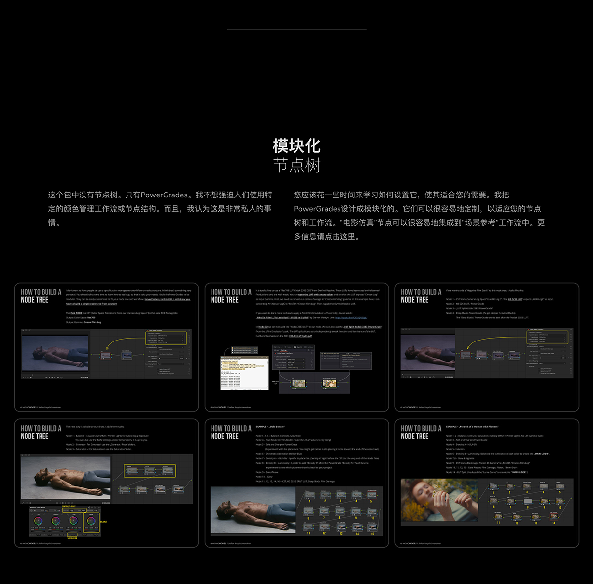 MonoNodes – FILM EMULATION 复古电影美学胶片模拟光晕闪烁颗粒LUTS、PowerGrades、镜头、遮罩、叠加、纹理达芬奇调色素材包 , 第13张