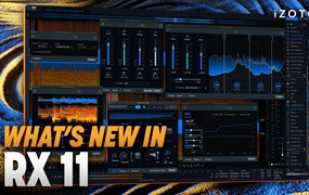 iZotope RX 11.2.0 Audio Editor Advanced 达芬奇/FCPX/AU/PR专业音频修复编辑软件/插件 Win + Mac