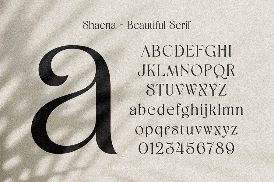 时尚优雅品牌海报婚礼设计衬线英文字体安装包 Shaena – Beautiful Serif , 第3张