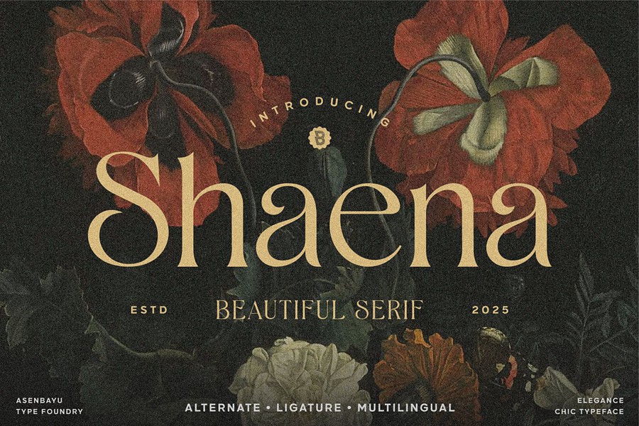 时尚优雅品牌海报婚礼设计衬线英文字体安装包 Shaena – Beautiful Serif , 第1张