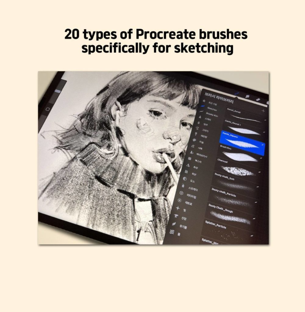 20款专业铅笔素描艺术绘画procreate笔刷画笔+视频教程 20 Sketch Pencil Brushes for Procreate , 第3张