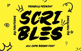 时尚创意品牌海报徽标设计无衬线英文字体安装包 Scribles – A Brush Font