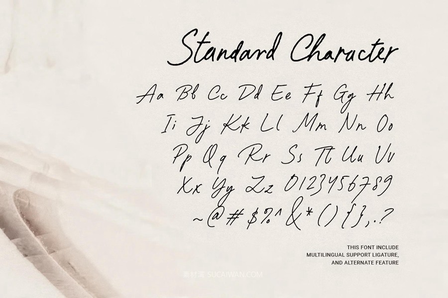 优雅复古品牌杂志包装封面设计手写英文字体安装包 Paradine — Ligature Handwritten Font , 第9张