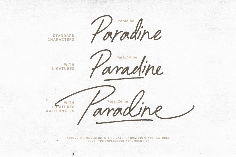 优雅复古品牌杂志包装封面设计手写英文字体安装包 Paradine — Ligature Handwritten Font , 第12张