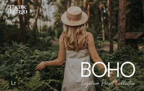 14组复古梦幻波西米亚风旅行电影摄影照片调色Lightroom预设 14 Dreamy Bohemian Lightroom Presets