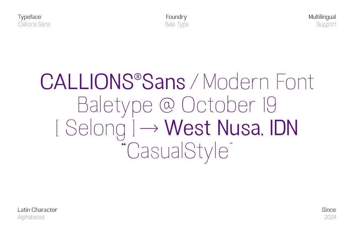 现代优雅Ins风杂志海报标题品牌标志Logo设计PSAI无衬线英文字体 Callions – Sans Serif Family , 第8张