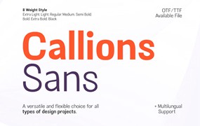 现代优雅Ins风杂志海报标题品牌标志Logo设计PSAI无衬线英文字体 Callions – Sans Serif Family