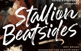 时尚品牌海报徽标设计手写英文字体安装包 Stallion Beatsides – Dry Brush Font