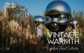 12组复古暖色调旅行电影摄影照片调色Lightroom预设 12 Warm Vintage Film Lightroom Presets