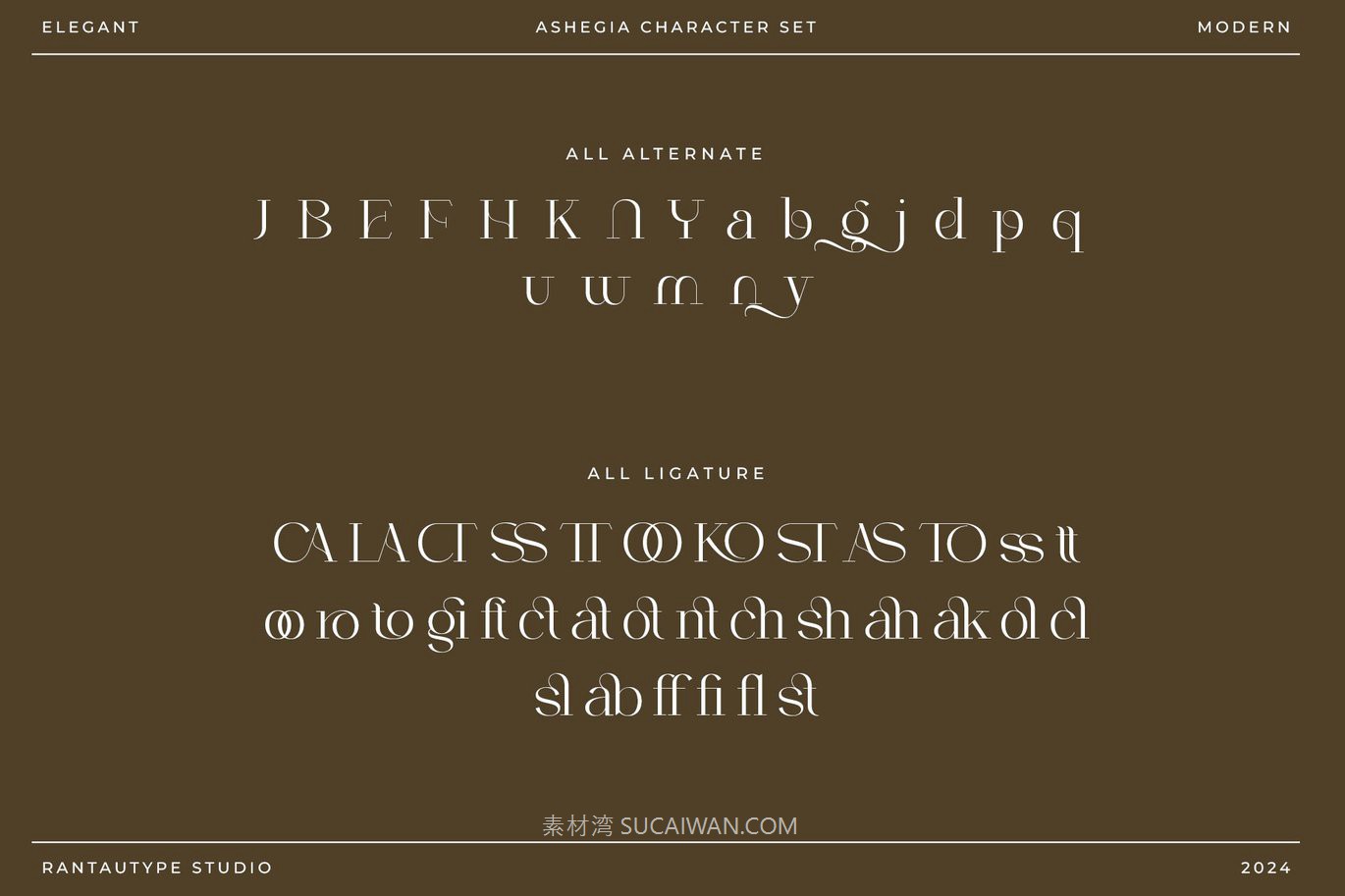 现代时尚品牌杂志婚礼徽标设计衬线英文字体安装包 Ashegia Modern Serif Font , 第12张