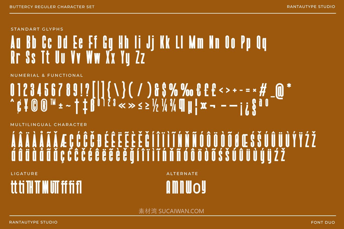 现代优雅品牌杂志广告邀请函设计衬线手写英文字体 Buttercy Font Duo , 第6张