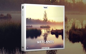 196组湿地沼泽昆虫蚊子鱼飞溅青蛙鹅鸟类无损音效素材 Boom Library Wetlands Stereo Edition