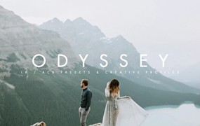 户外旅拍婚礼情侣肖像照片调色Lightroom预设包 Tribe Archipelago – ODYSSEY LR/ACR PRESETS + PROFILES