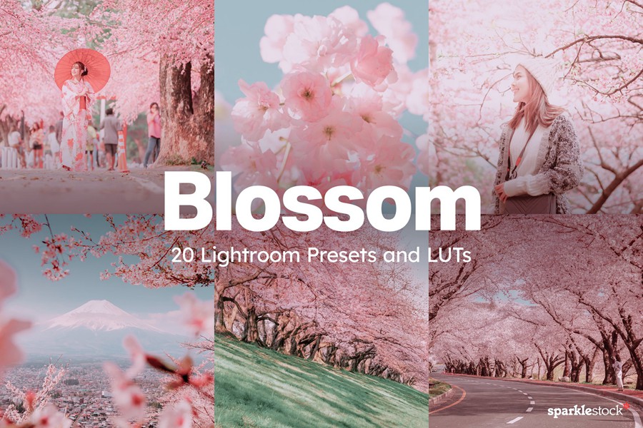 20组柔和色调粉色樱花旅拍摄影照片调色Lightroom&lut预设 20 Blossom Lightroom Presets and LUTs , 第1张