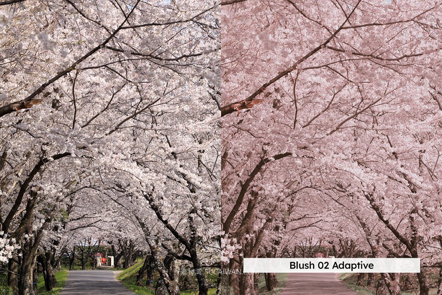 20组柔和色调粉色樱花旅拍摄影照片调色Lightroom&lut预设 20 Blossom Lightroom Presets and LUTs , 第2张